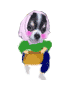 jp.Tpge.com