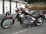 vt1300