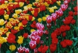 0e8a9d22.jpg