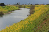 88931c62.jpg