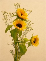 9efa09b0.JPG
