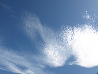 P7250224