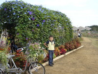DSC04048