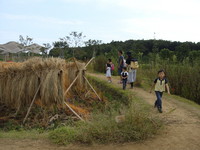 DSC04041