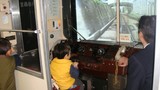 DSC00953