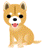 柴犬