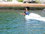 a man swimming with dolphin