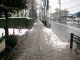 612a4981.JPG