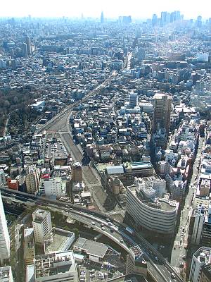 �夫�鸫������ԻԷײ�ƻϩ���ȴ�����ϩ�ľ���ޤΰ����(��)