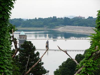 �����ٻ�ĺ�夫�鸫���붹����