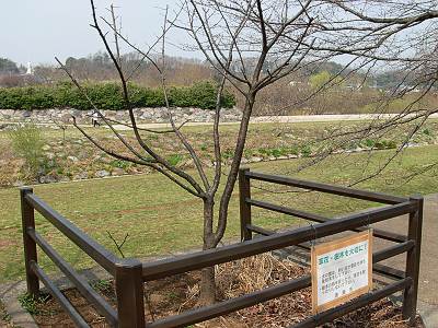 �⻳���᤯�θϻष���餷�����ź�