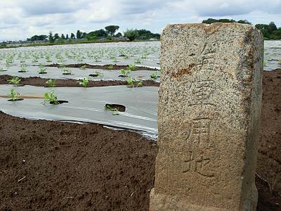 �������ϤǤ�