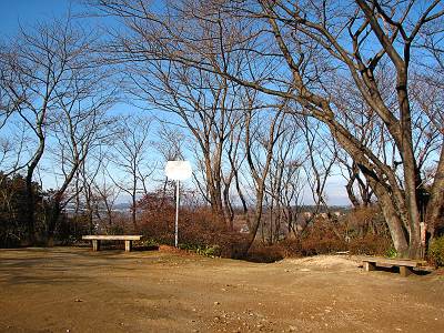 �쾾����ʪ����