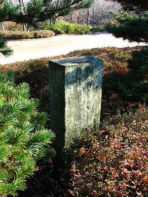 �쾾����ʪ����ĺ��ˤ��ä�����