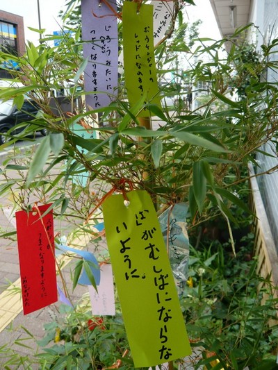 短冊