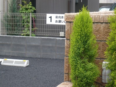 前向き