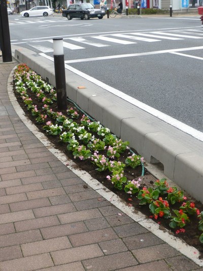 市役所南通り