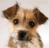 ジョンの純な恋物語[特別完全版]~6 Songs for DOG LOVERS~