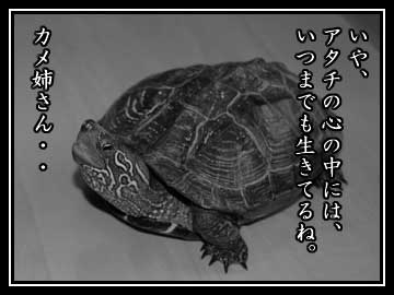 妄想の続き-2コマ