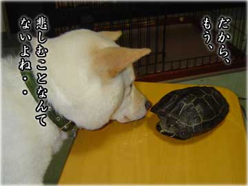 妄想の続き-5コマ
