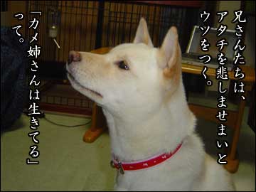 妄想の続き-1コマ
