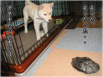 妄想の続き-3コマ