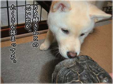 妄想の続き-4コマ
