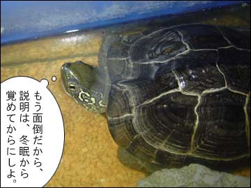 妄想の続き-7コマ