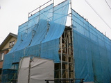 05b51993.JPG