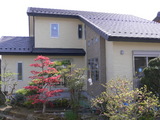 06b94abf.JPG