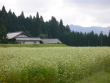 444c53b7.JPG