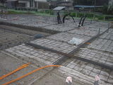 7403f2d8.JPG