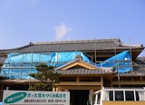 bf036f34.JPG