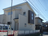 d47484d8.JPG