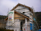 d73c2eeb.JPG