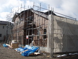 d8a1253f.JPG