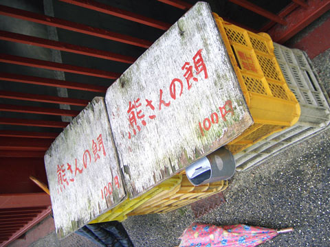 三重県熊牧場3