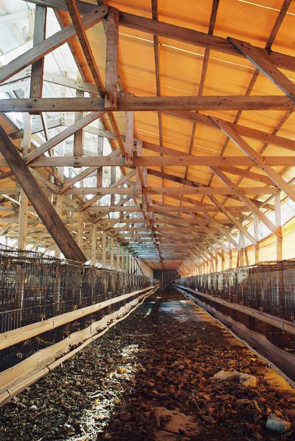 岐阜　養鶏場　廃墟