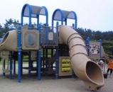 0efa8913.jpg