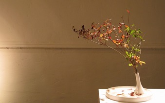 floating_flower1