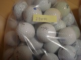 s-DSC02781