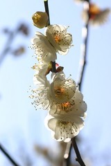 ��003