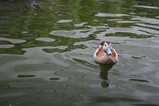 ���ӥ拾����002
