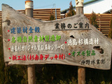 羽目板