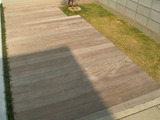 木のアプローチ