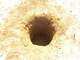 ５