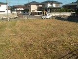 地縄張り