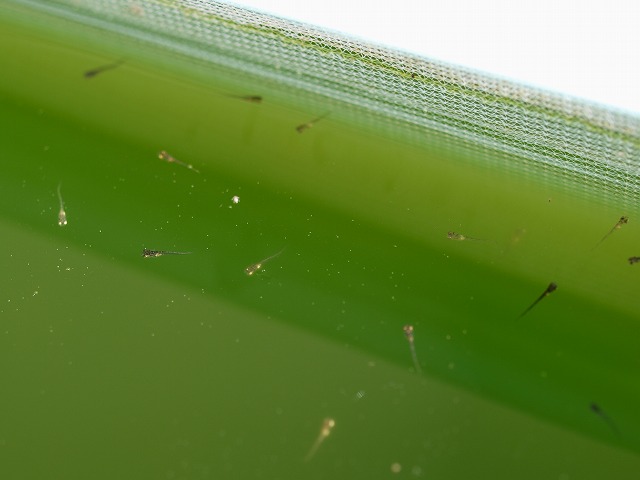 �Ŀ������۲������յ�����
