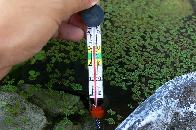 なんと、32℃も!