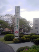 ���ȥå��ϵ岹�Ȳ�